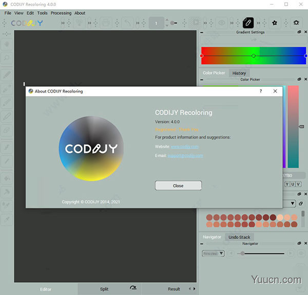 codijy colorizer pro图片上色软件 v4.0.0 破解安装版
