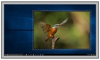 屏幕视频录制软件TweakShot Screen Capture v1.0.0.21121 安装激活版