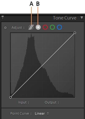 Adobe Lightroom Classic(简称LRC) 2021 v10.1.0.20 一键直装特别版