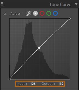 Adobe Lightroom Classic(简称LRC) 2021 v10.1.0.20 一键直装特别版