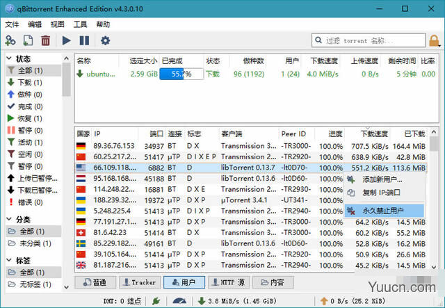 qBittorrent(BT下载利器) 4.3.3.10 中文绿色便携版
