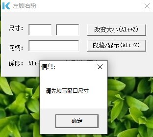 左顾右盼(窗口大小调节软件) v1.0 免费绿色版