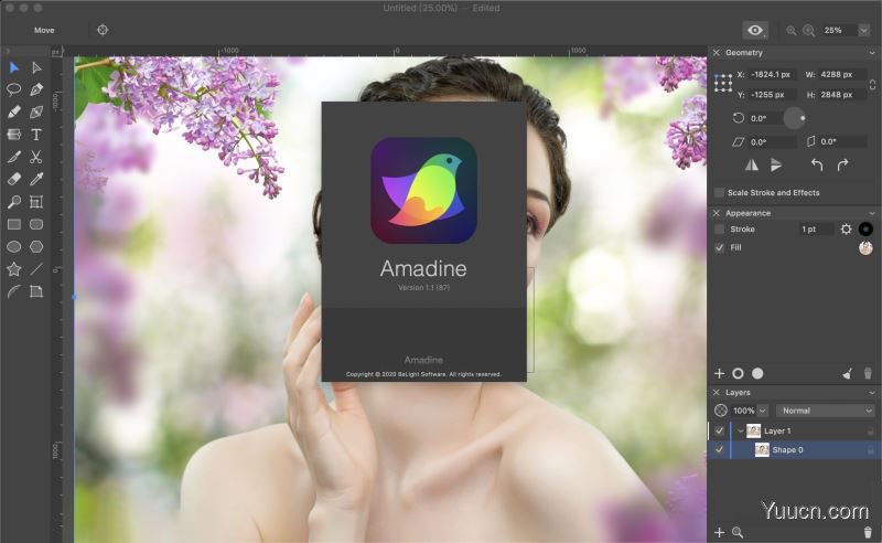 矢量图设计软件 Amadine Mac v1.1 最新苹果直装破解版