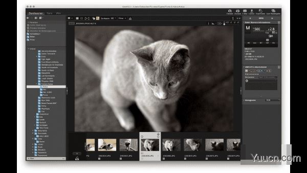 Nikon ViewNX-i(图像处理软件) for Mac v1.4.3 苹果电脑版