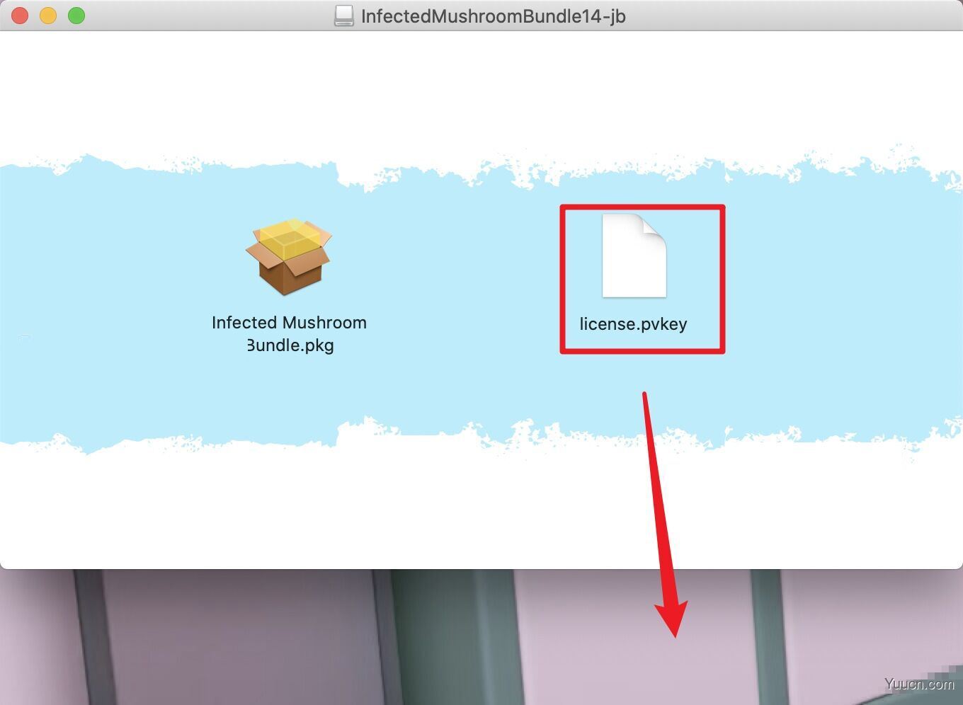 音频创作插件Polyverse Infected Mushroom Bundle for Mac v2021.08.22 激活版