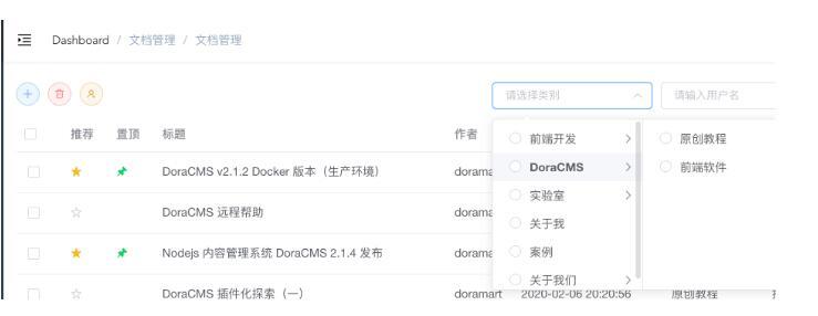 DoraCMS内容管理系统 v2.1.8