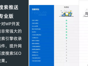 百度搜索推送管理插件Pro破解版本，SEO效果明显